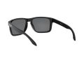 Oakley Holbrook Xl Solbriller OO 9417 16