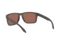 Oakley Holbrook Xl Solbriller OO 9417 19