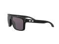 Oakley Holbrook Xl Solbriller OO 9417 22