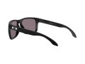 Oakley Holbrook Xl Solbriller OO 9417 22
