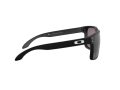 Oakley Holbrook Xl Solbriller OO 9417 22