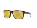Oakley Holbrook Xl Solbriller OO 9417 23