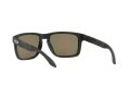 Oakley Holbrook Xl Solbriller OO 9417 29