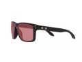 Oakley Holbrook Xl Solbriller OO 9417 35