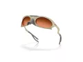Oakley Plantaris Solbriller OO 9437 02