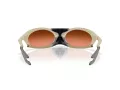 Oakley Plantaris Solbriller OO 9437 02