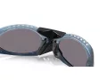 Oakley Plantaris Solbriller OO 9437 09