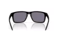 Oakley Holbrook Xxl Solbriller OO 9487 01
