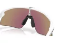 Oakley Stunt Devil Solbriller OO 9517 04