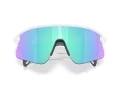 Oakley Stunt Devil Solbriller OO 9517 04