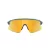 Oakley Stunt Devil Solbriller OO 9517 05