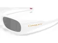 Oakley Permian Solbriller OO 9520 02