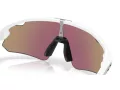Oakley Stunt Devil A Solbriller OO 9525 02