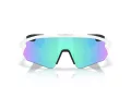 Oakley Stunt Devil A Solbriller OO 9525 02