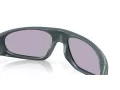 Oakley Neoforma Solbriller OO 9528 02