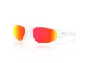 Oakley Neoforma Solbriller OO 9528 03