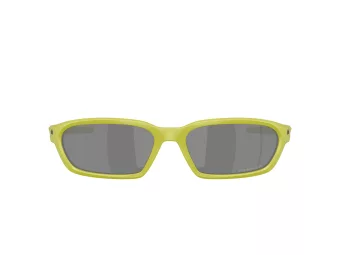 Oakley Terraforma Solbriller OO 9530 04