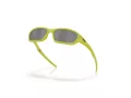 Oakley Terraforma Solbriller OO 9530 04