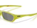 Oakley Terraforma Solbriller OO 9530 04