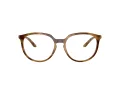 Oakley Bmng Briller OX 8150 02