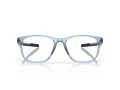 Oakley Cerebral Briller OX 8187 04