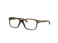 Oakley Cartwheel Briller OY 8010 06