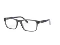 Polo Briller PH 2212 5763