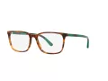 Polo Briller PH 2234 5017