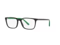 Polo Briller PH 2234 5246
