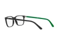 Polo Briller PH 2234 5246