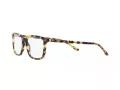 Polo Briller PH 2259 6083