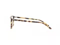 Polo Briller PH 2259 6083