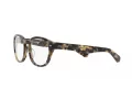 Polo Briller PH 2261U 6087