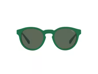 Polo Solbriller PH 4184 6017/71