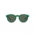 Polo Solbriller PH 4184 6017/71