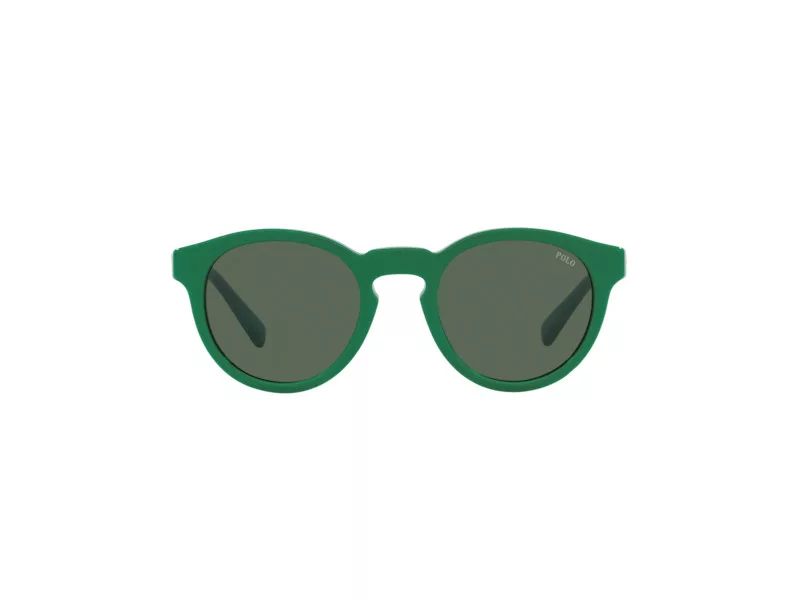 Polo Solbriller PH 4184 6017/71