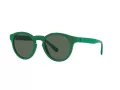 Polo Solbriller PH 4184 6017/71