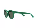 Polo Solbriller PH 4184 6017/71