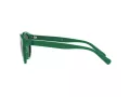 Polo Solbriller PH 4184 6017/71
