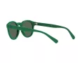Polo Solbriller PH 4184 6017/71
