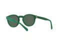 Polo Solbriller PH 4184 6017/71