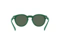 Polo Solbriller PH 4184 6017/71