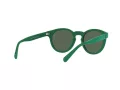 Polo Solbriller PH 4184 6017/71