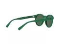 Polo Solbriller PH 4184 6017/71