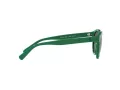 Polo Solbriller PH 4184 6017/71