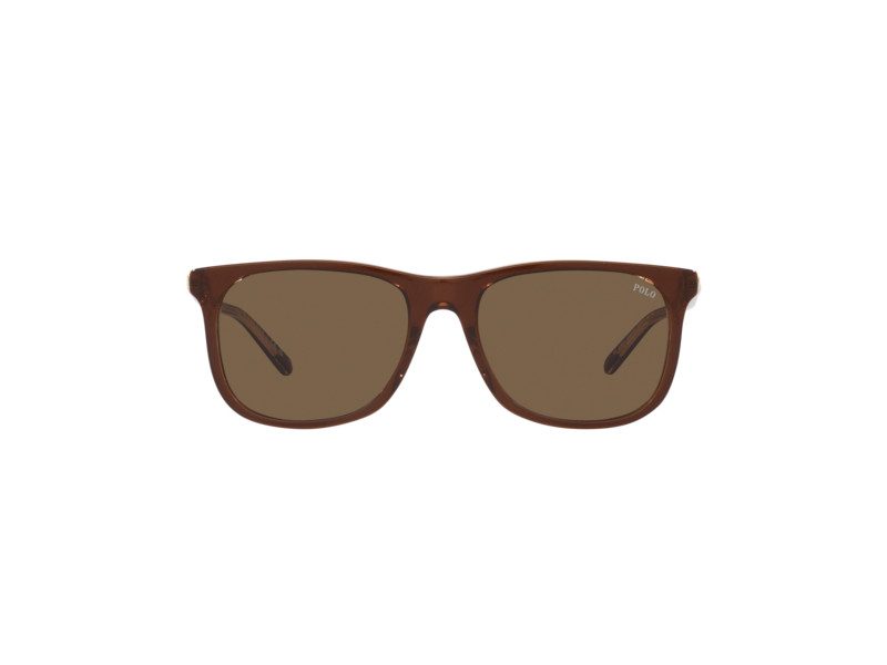 Polo Solbriller PH 4186U 6029/73