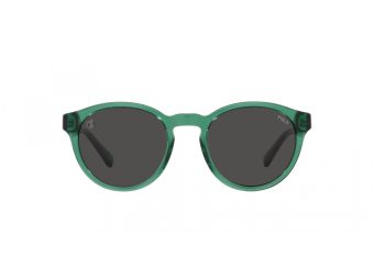 Polo Solbriller PH 4192 608487