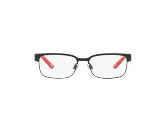 Polo Briller PP 8036 3136