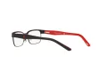 Polo Briller PP 8036 3136
