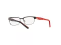 Polo Briller PP 8036 3136